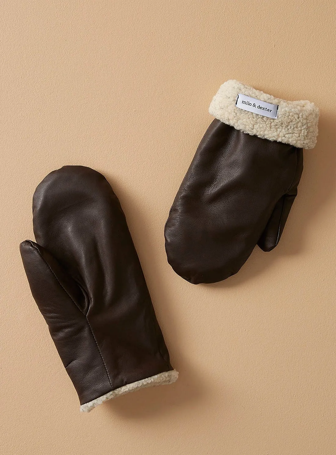 Milo & Dexter Leather Mittens (Many Colours)